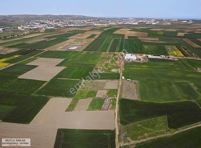 Arsa-Tarla
