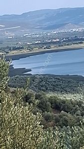 Arsa-Tarla