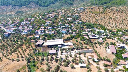 Arsa-Konut İmarlı