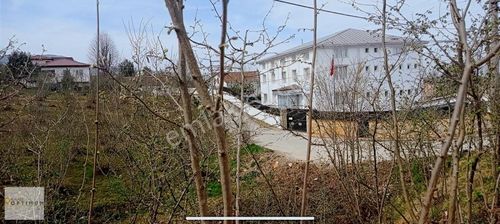 Arsa-Özel Kullanım