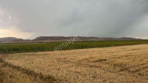 Arsa-Tarla