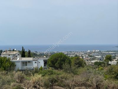 Arsa-Villa İmarlı