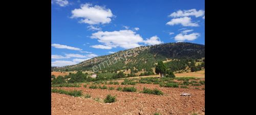 Arsa-Tarla