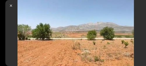 Arsa-Bağ & Bahçe