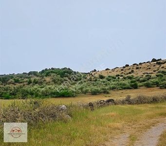 Arsa-Bağ & Bahçe
