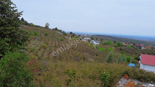 Arsa-Konut İmarlı