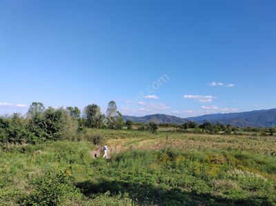Arsa-Tarla