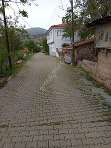 Arsa-Arazi