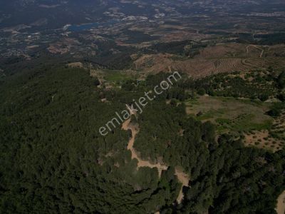 Arsa-Tarla