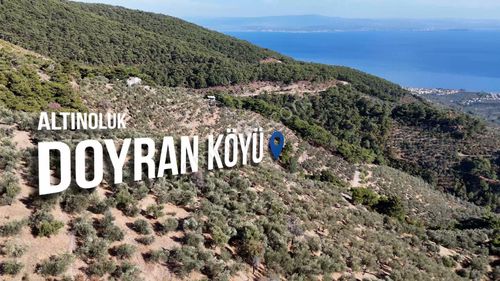 Arsa-Zeytinlik