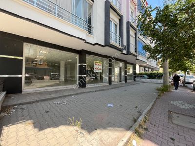 İşyeri-Dükkan & Mağaza
