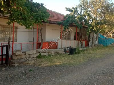 Konut-Daire