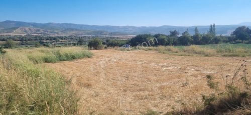 Arsa-Bağ & Bahçe