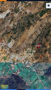 Arsa-Zeytinlik