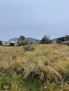 Arsa-Konut İmarlı