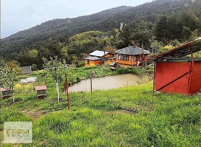 Konut-Çiftlik Evi