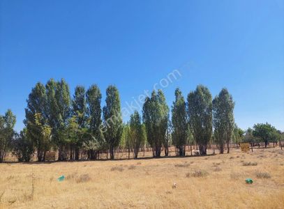 Arsa-Ticari İmarlı
