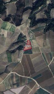 Arsa-Tarla