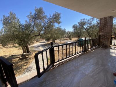Konut-Çiftlik Evi