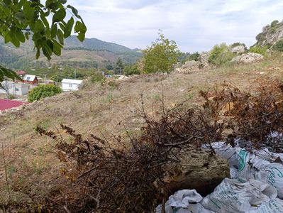 Arsa-Muhtelif Arsa