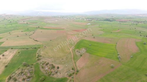 Arsa-Tarla