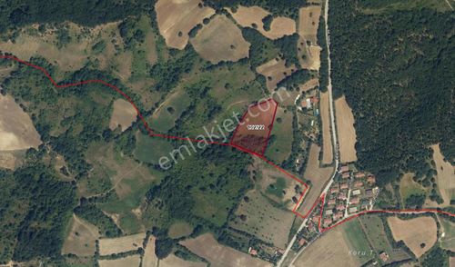 Arsa-Tarla