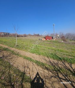 Arsa-Tarla