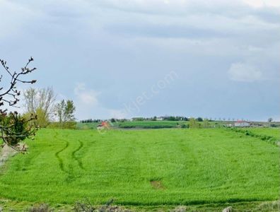 Arsa-Tarla