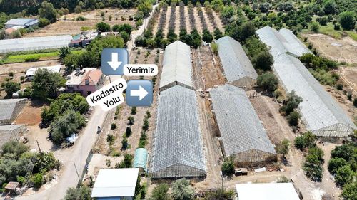Arsa-Bağ & Bahçe