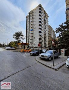 İşyeri-Dükkan & Mağaza