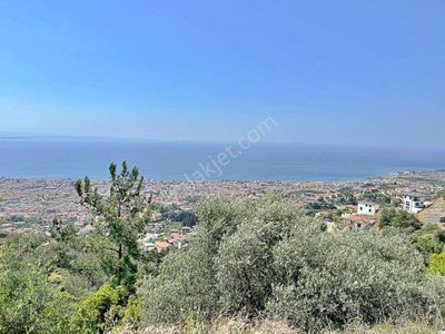 Arsa-Villa İmarlı