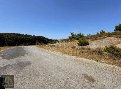 Arsa-Tarla