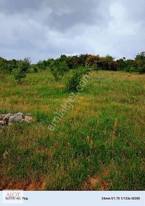 Arsa-Tarla