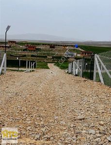 Arsa-Bağ & Bahçe