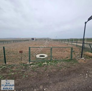 Arsa-Bağ & Bahçe