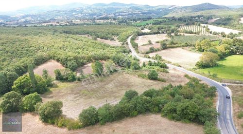 Arsa-Tarla