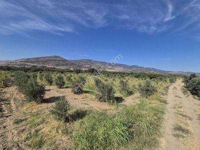 Arsa-Tarla