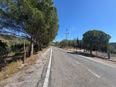 Arsa-Tarla