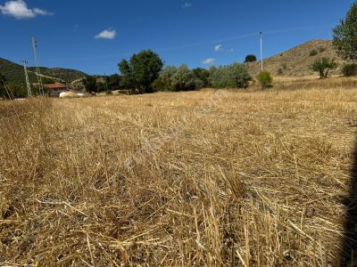 Arsa-Tarla