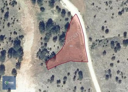 Arsa-Tarla