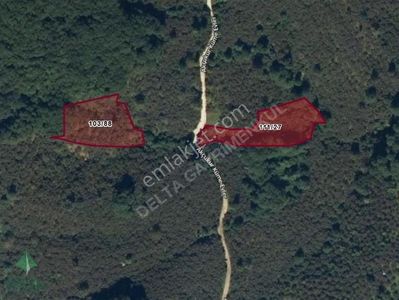 Arsa-Bağ & Bahçe