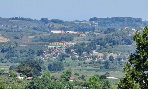 Arsa-Bağ & Bahçe
