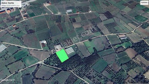 Arsa-Tarla