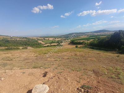 Arsa-Tarla