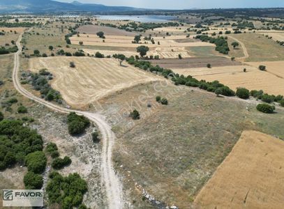 Arsa-Tarla