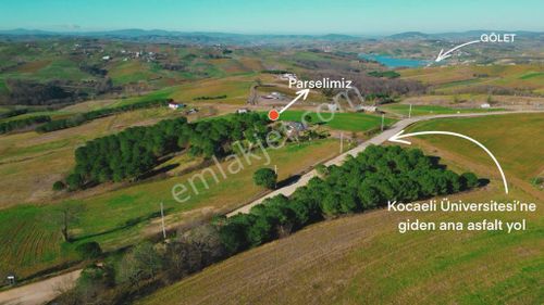 Arsa-Tarla