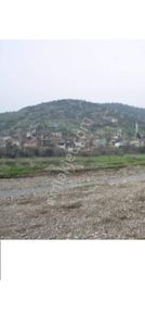 Arsa-Zeytinlik