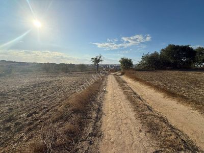 Arsa-Tarla