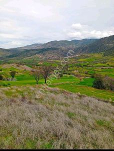 Arsa-Tarla