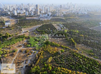 Arsa-Konut İmarlı